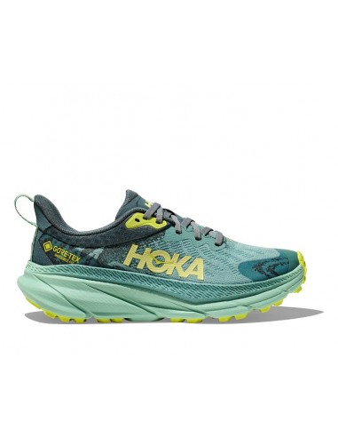 Womens Hoka Challenger ATR 7 GTX in Trellis/Balsam Green Pour