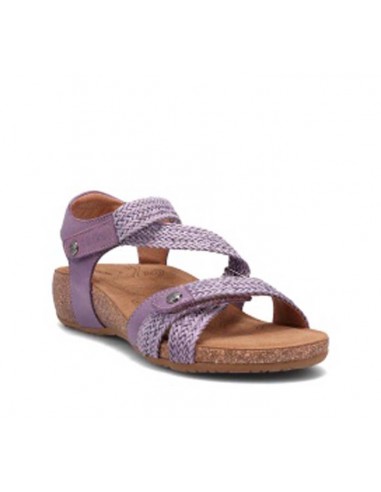 Womens Taos Trulie in Lavender Les êtres humains sont 