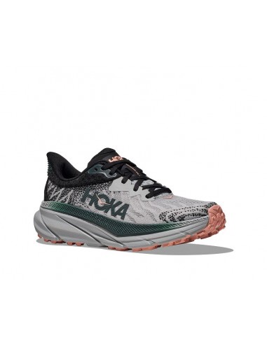 Womens Hoka Challenger ATR 7 Wide in Harbor Mist/Spruce Economisez 